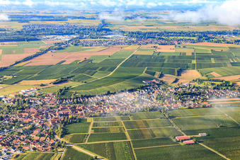 Vue aérienne de Vue du nord à Insheim dans le département Rhénanie-Palatinat, Allemagne