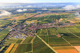 Vue aérienne de Vue du nord à Insheim dans le département Rhénanie-Palatinat, Allemagne