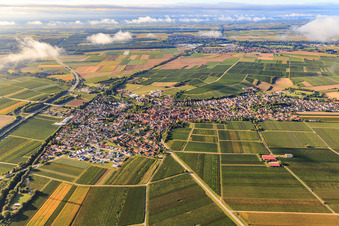 Photographie aérienne de Vue du nord à Insheim dans le département Rhénanie-Palatinat, Allemagne