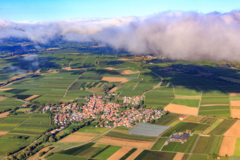 Vue aérienne de Vue de la ville depuis l'est à Impflingen dans le département Rhénanie-Palatinat, Allemagne