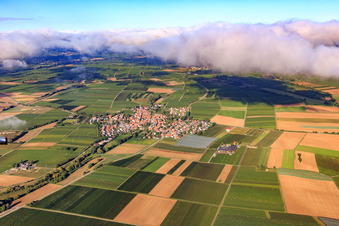 Vue aérienne de Vue de la ville depuis l'est à Impflingen dans le département Rhénanie-Palatinat, Allemagne