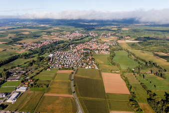 Vue oblique de Quartier Billigheim in Billigheim-Ingenheim dans le département Rhénanie-Palatinat, Allemagne