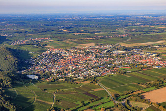 Vue aérienne de Vue de la ville depuis le sud-ouest à Bad Bergzabern dans le département Rhénanie-Palatinat, Allemagne