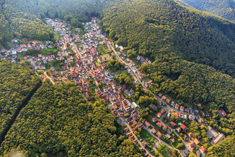 Vue aérienne de La Belle au bois dormant de la forêt du Palatinat en automne vue de l'est à Dörrenbach dans le département Rhénanie-Palatinat, Allemagne
