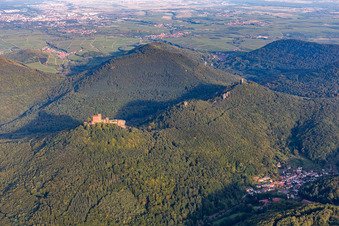 Vue aérienne de Les 4 châteaux Trifels, Anebos, Jungturm et Münz à Annweiler am Trifels dans le département Rhénanie-Palatinat, Allemagne