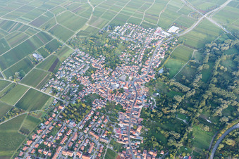 Quartier Godramstein in Landau in der Pfalz dans le département Rhénanie-Palatinat, Allemagne du point de vue du drone