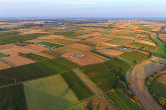 Fondation du parc éolien EnBW Freckenfeld - pour éolienne avec 6 éoliennes à Freckenfeld dans le département Rhénanie-Palatinat, Allemagne depuis l'avion