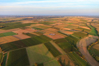 Vue d'oiseau de Fondation du parc éolien EnBW Freckenfeld - pour éolienne avec 6 éoliennes à Freckenfeld dans le département Rhénanie-Palatinat, Allemagne