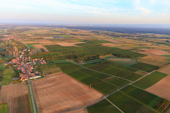 Vue aérienne de Vue du village depuis l'ouest à Hergersweiler dans le département Rhénanie-Palatinat, Allemagne