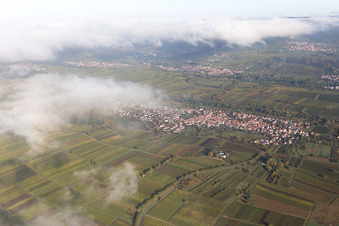 Vue aérienne de Quartier Wollmesheim in Landau in der Pfalz dans le département Rhénanie-Palatinat, Allemagne