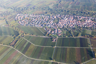Vue aérienne de Quartier Wollmesheim in Landau in der Pfalz dans le département Rhénanie-Palatinat, Allemagne