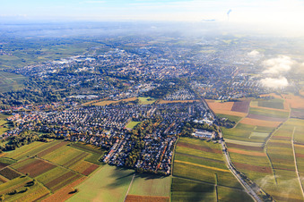 Vue aérienne de Wollmesheimer Straße vue de l'ouest à Landau in der Pfalz dans le département Rhénanie-Palatinat, Allemagne