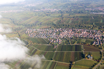 Photographie aérienne de Quartier Wollmesheim in Landau in der Pfalz dans le département Rhénanie-Palatinat, Allemagne