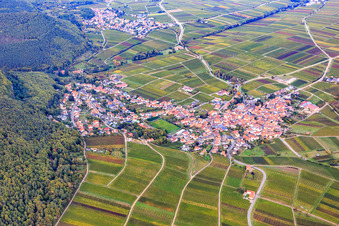 Vue aérienne de Village viticole du sud à Frankweiler dans le département Rhénanie-Palatinat, Allemagne