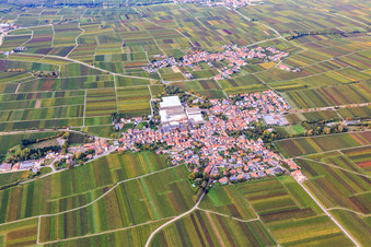 Vue aérienne de Village viticole avec caves à vins mousseux Schloss Wachenheim AG et château de Böchinger à Böchingen dans le département Rhénanie-Palatinat, Allemagne