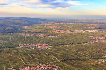 Vue aérienne de Villes viticoles de la plaine du Rhin du Palatinat, de Flemlingen à Neustadt à Hainfeld dans le département Rhénanie-Palatinat, Allemagne