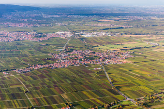 Vue aérienne de Vue des rues et des maisons dans les quartiers résidentiels à Roschbach dans le département Rhénanie-Palatinat, Allemagne