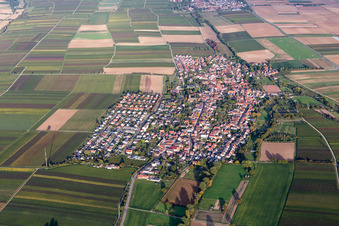 Vue aérienne de Champs agricoles et terres agricoles à Essingen dans le département Rhénanie-Palatinat, Allemagne