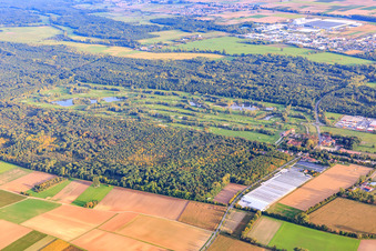 Vue aérienne de Terrain de golf Landgut Dreihof - GOLF absolu du nord-ouest à le quartier Dreihof in Essingen dans le département Rhénanie-Palatinat, Allemagne