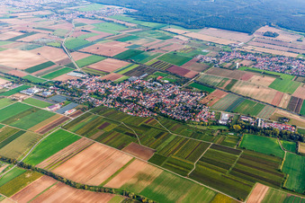 Photographie aérienne de (Palatinat) à Weingarten dans le département Rhénanie-Palatinat, Allemagne