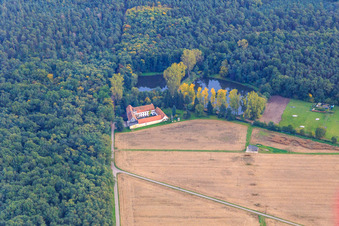 Vue aérienne de Lachenmühle en bordure de forêt avec lacs de moulin à le quartier Niederlustadt in Lustadt dans le département Rhénanie-Palatinat, Allemagne