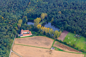 Vue aérienne de Lachenmühle en bordure de forêt avec lacs de moulin à le quartier Niederlustadt in Lustadt dans le département Rhénanie-Palatinat, Allemagne