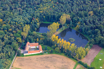 Photographie aérienne de Lachenmühle en bordure de forêt avec lacs de moulin à le quartier Niederlustadt in Lustadt dans le département Rhénanie-Palatinat, Allemagne