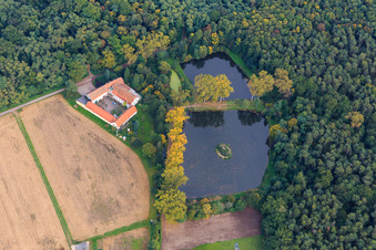 Vue oblique de Lachenmühle en bordure de forêt avec lacs de moulin à le quartier Niederlustadt in Lustadt dans le département Rhénanie-Palatinat, Allemagne