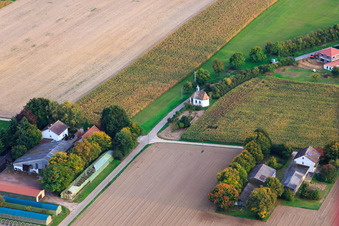 Vue aérienne de Buchenhof, Herxheimweyher et la chapelle des Pauvres Âmes sur Knittelsheimer Weg à Herxheimweyher dans le département Rhénanie-Palatinat, Allemagne