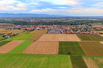 Vue aérienne de Vue de la ville depuis le sud à Steinweiler dans le département Rhénanie-Palatinat, Allemagne