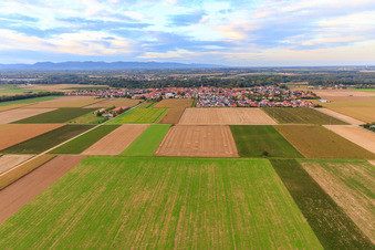Photographie aérienne de Vue de la ville depuis le sud à Steinweiler dans le département Rhénanie-Palatinat, Allemagne