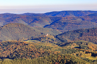 Vue aérienne de Le château de Berwartstein vu de l'ouest à Erlenbach bei Dahn dans le département Rhénanie-Palatinat, Allemagne