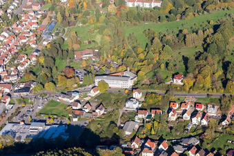 Dahn dans le département Rhénanie-Palatinat, Allemagne vue d'en haut