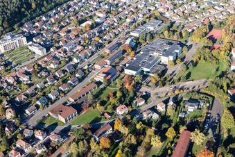 Dahn dans le département Rhénanie-Palatinat, Allemagne du point de vue du drone