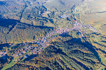 Vue aérienne de Forêts à Schwanheim dans le département Rhénanie-Palatinat, Allemagne