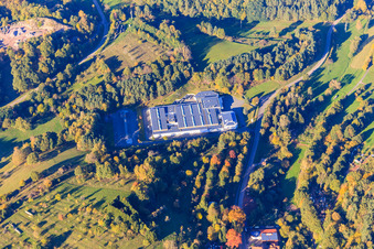 Vue aérienne de Usine de chaussures Lugina GmbH à Schwanheim dans le département Rhénanie-Palatinat, Allemagne