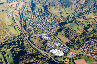 Vue aérienne de Quartier Queichhambach in Annweiler am Trifels dans le département Rhénanie-Palatinat, Allemagne