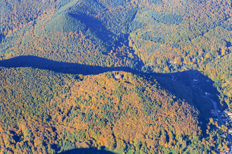 Vue aérienne de Ruines du château de Ramburg sur le Ramberg à Ramberg dans le département Rhénanie-Palatinat, Allemagne