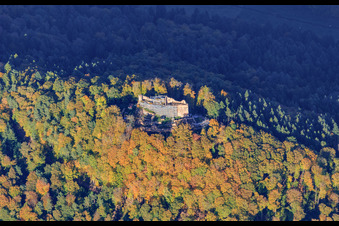 Vue aérienne de Les ruines du château de Meistersel sont échafaudées pour être rénovées à Ramberg dans le département Rhénanie-Palatinat, Allemagne