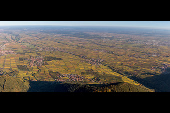 Vue aérienne de Paysage viticole de la Route des vins du Palatinat à Weyher in der Pfalz à Weyher in der Pfalz dans le département Rhénanie-Palatinat, Allemagne