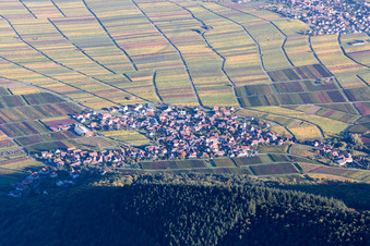 Vue aérienne de Vue du village viticole depuis l'ouest à Weyher in der Pfalz dans le département Rhénanie-Palatinat, Allemagne