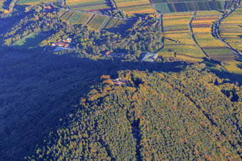 Vue aérienne de Ruines du château et restaurant de montagne Rietburg vus de l'ouest à Venningen dans le département Rhénanie-Palatinat, Allemagne