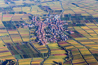 Vue aérienne de Vignobles aux couleurs d'automne à Rhodt unter Rietburg dans le département Rhénanie-Palatinat, Allemagne