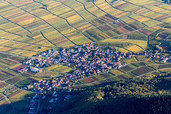 Vue aérienne de Paysage viticole de la Route des vins du Palatinat à Weyher in der Pfalz à Weyher in der Pfalz dans le département Rhénanie-Palatinat, Allemagne
