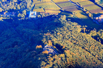 Vue aérienne de Ruines du château et restaurant de montagne Rietburg vus de l'ouest à Venningen dans le département Rhénanie-Palatinat, Allemagne
