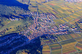 Vue aérienne de Ville viticole en bordure du Haardt au sud-ouest à le quartier SaintMartin in Sankt Martin dans le département Rhénanie-Palatinat, Allemagne