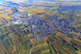 Vue aérienne de Vue de la ville depuis le nord-ouest à Edenkoben dans le département Rhénanie-Palatinat, Allemagne