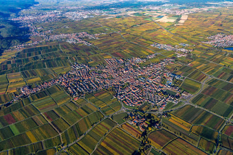 Vue aérienne de Vue des rues et des maisons dans les quartiers résidentiels à Maikammer dans le département Rhénanie-Palatinat, Allemagne