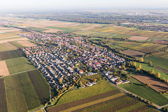 Vue aérienne de Vue de la ville depuis l'ouest à Essingen dans le département Rhénanie-Palatinat, Allemagne