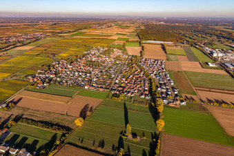 Vue aérienne de De l'ouest à Bornheim dans le département Rhénanie-Palatinat, Allemagne